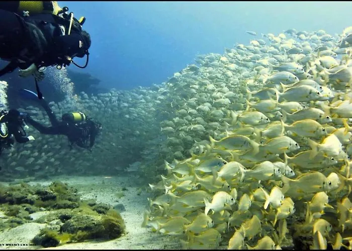 Harbour N 233 Playa De Mogan By El Sirocco Puerto De Mogan