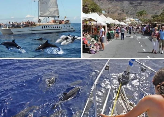 Apartament Harbour N 233 Playa De Mogan By El Sirocco *