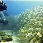 Harbour N 233 Playa De Mogan By El Sirocco Puerto De Mogan