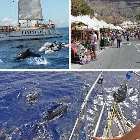 Lejlighed Harbour N 233 Playa De Mogan By El Sirocco *